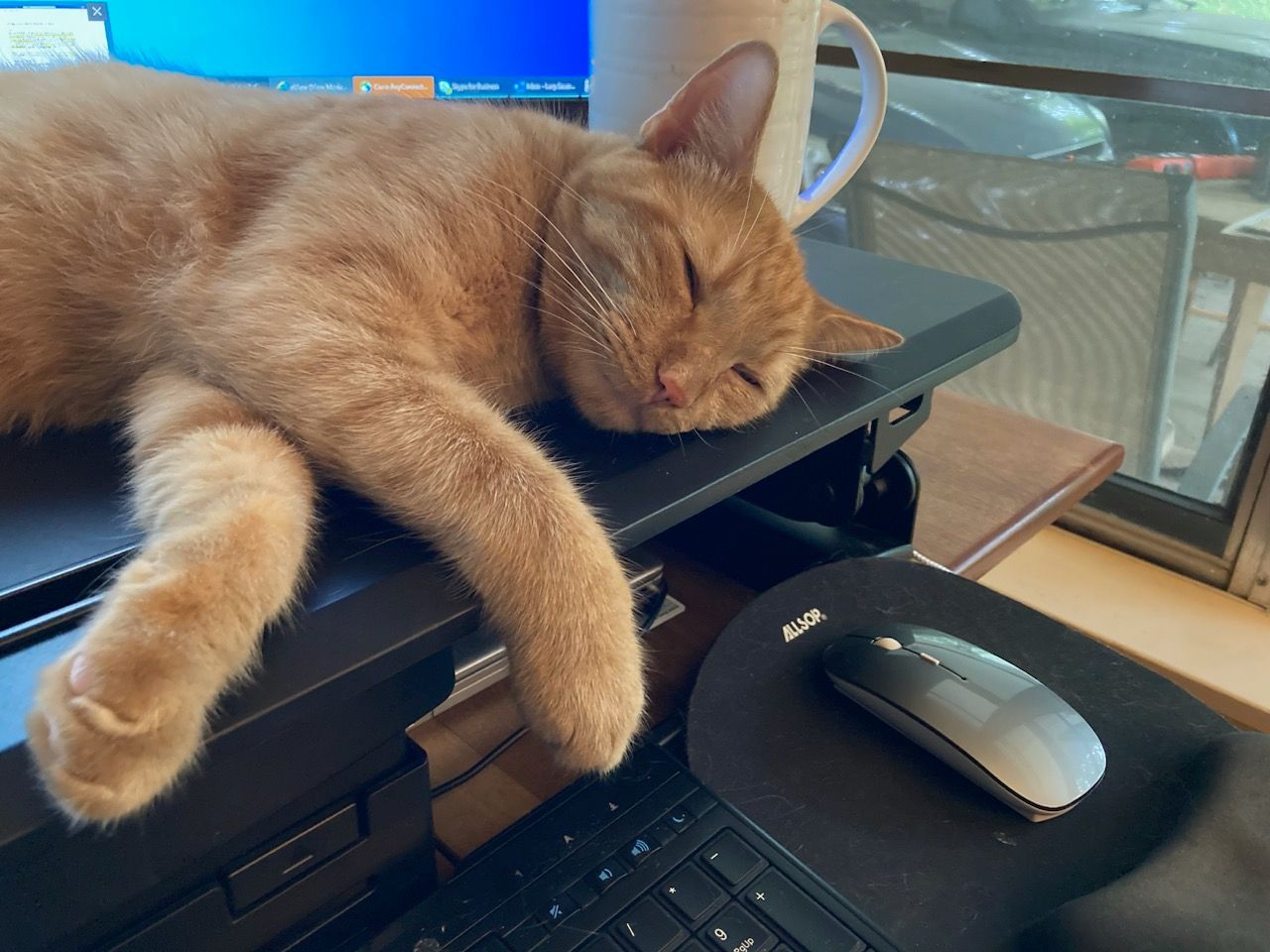 click for larger size