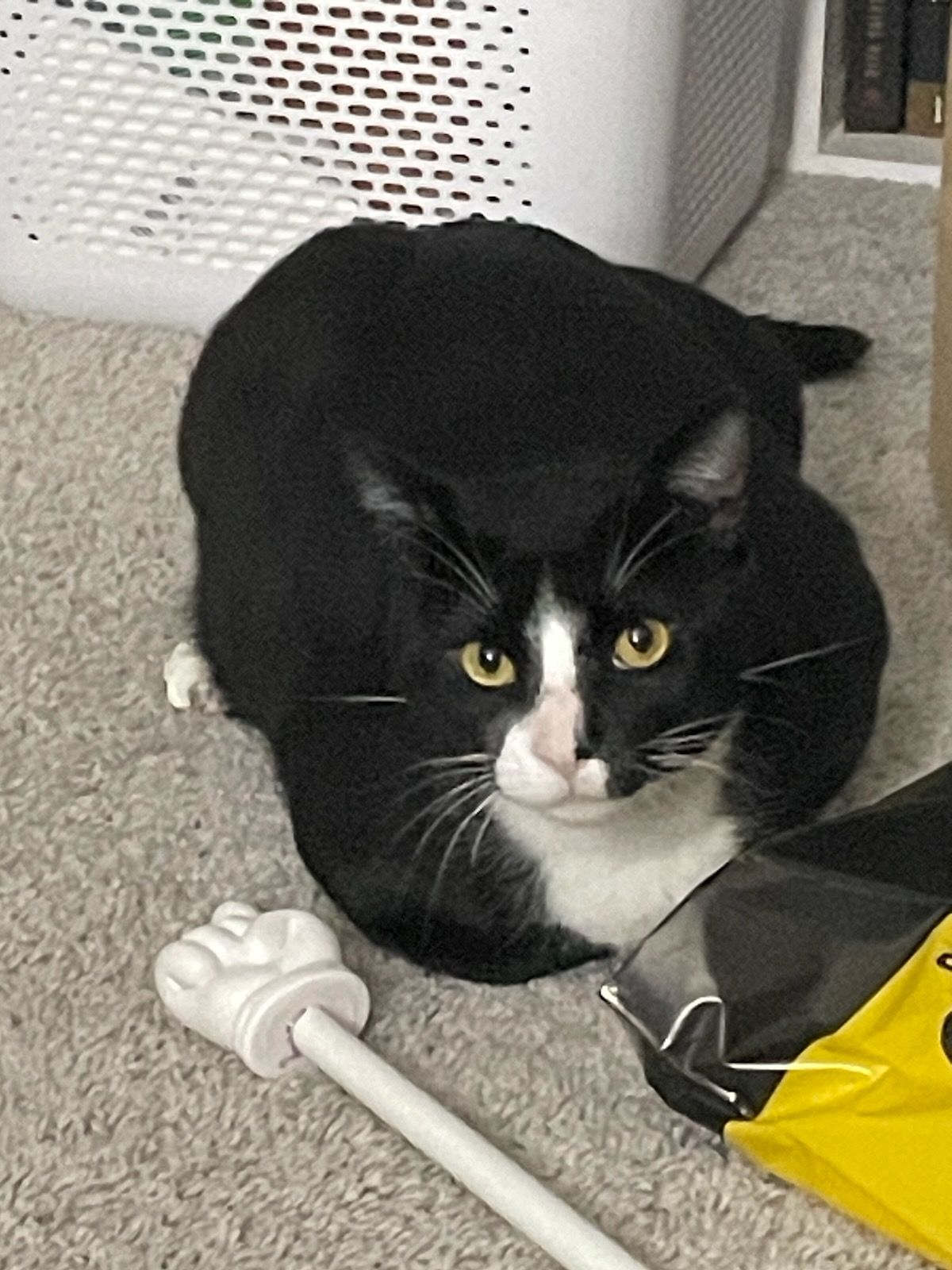 click for larger size