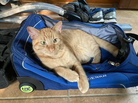 click for larger size