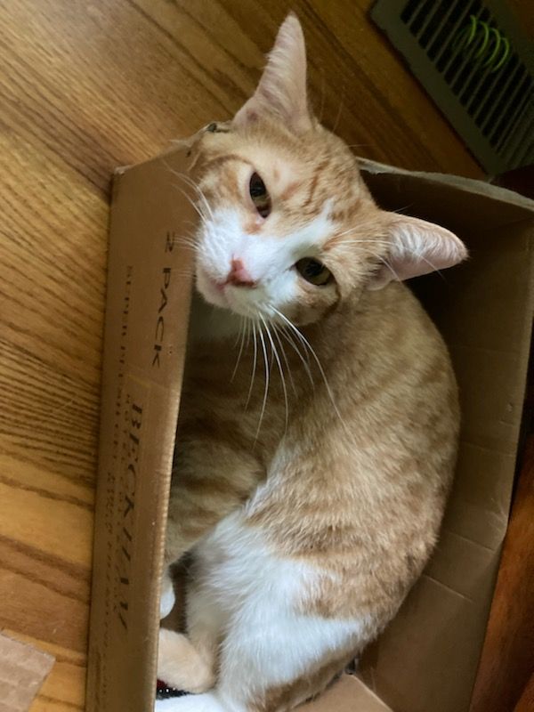 click for larger size