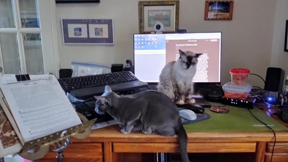 click for larger size