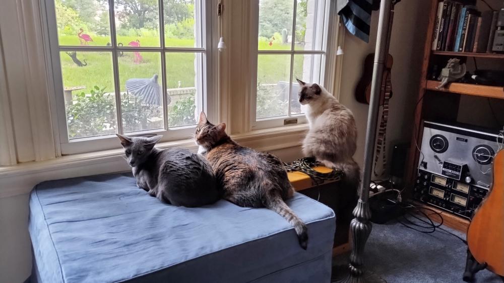 click for larger size