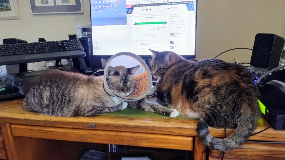 click for larger size