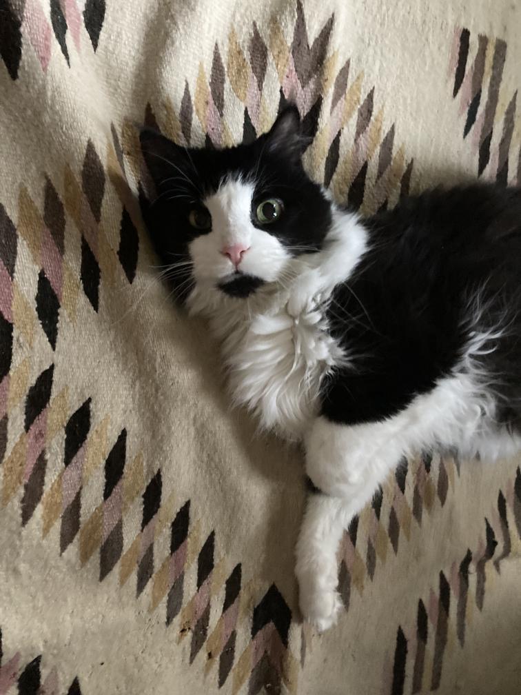 click for larger size