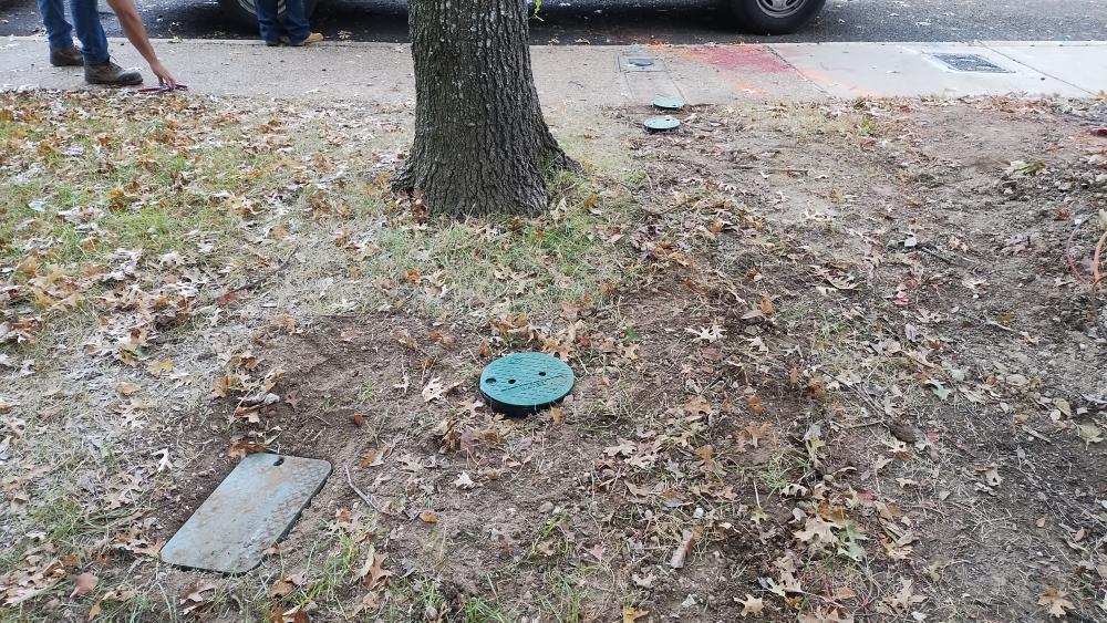 click for larger size