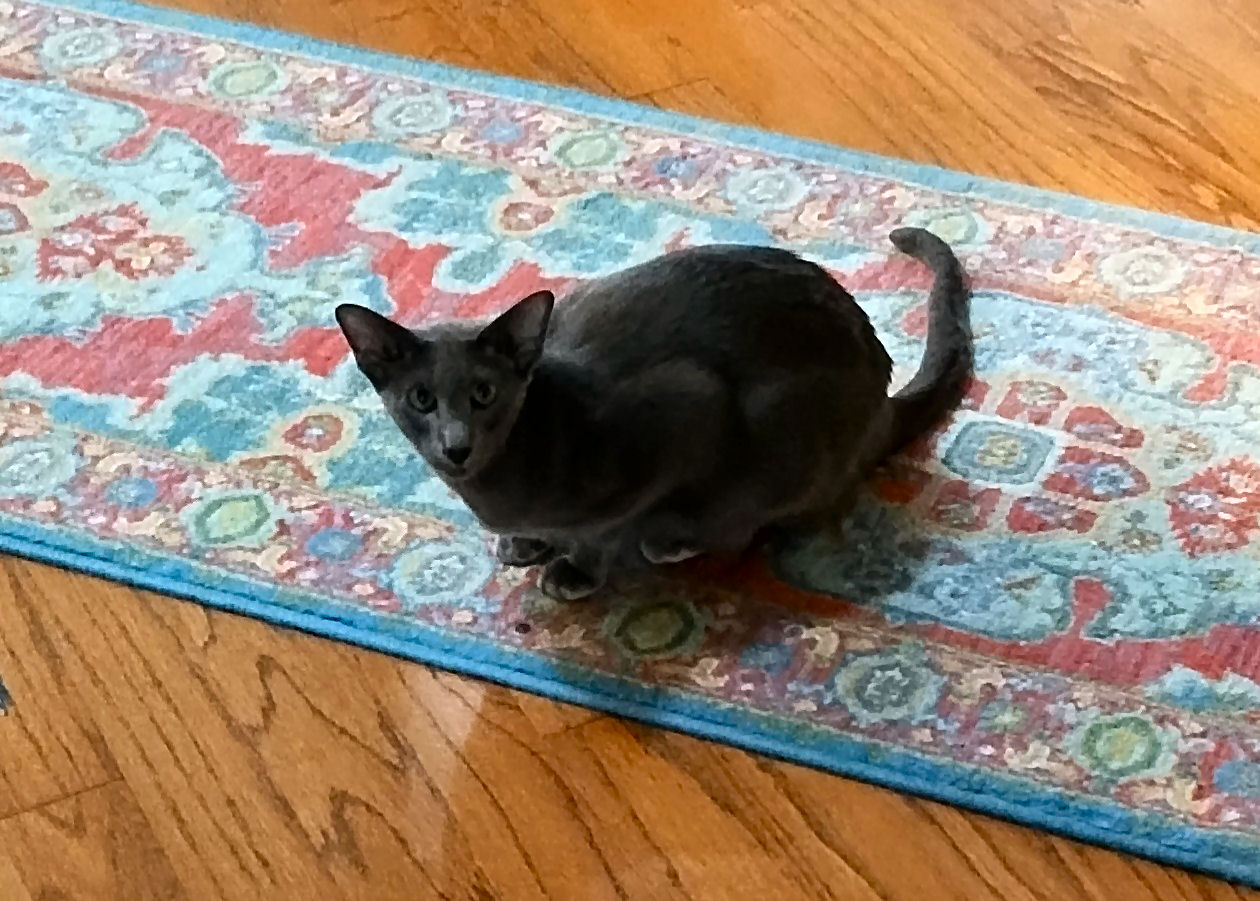 click for larger size