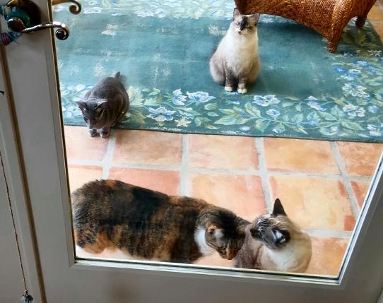 click for larger size