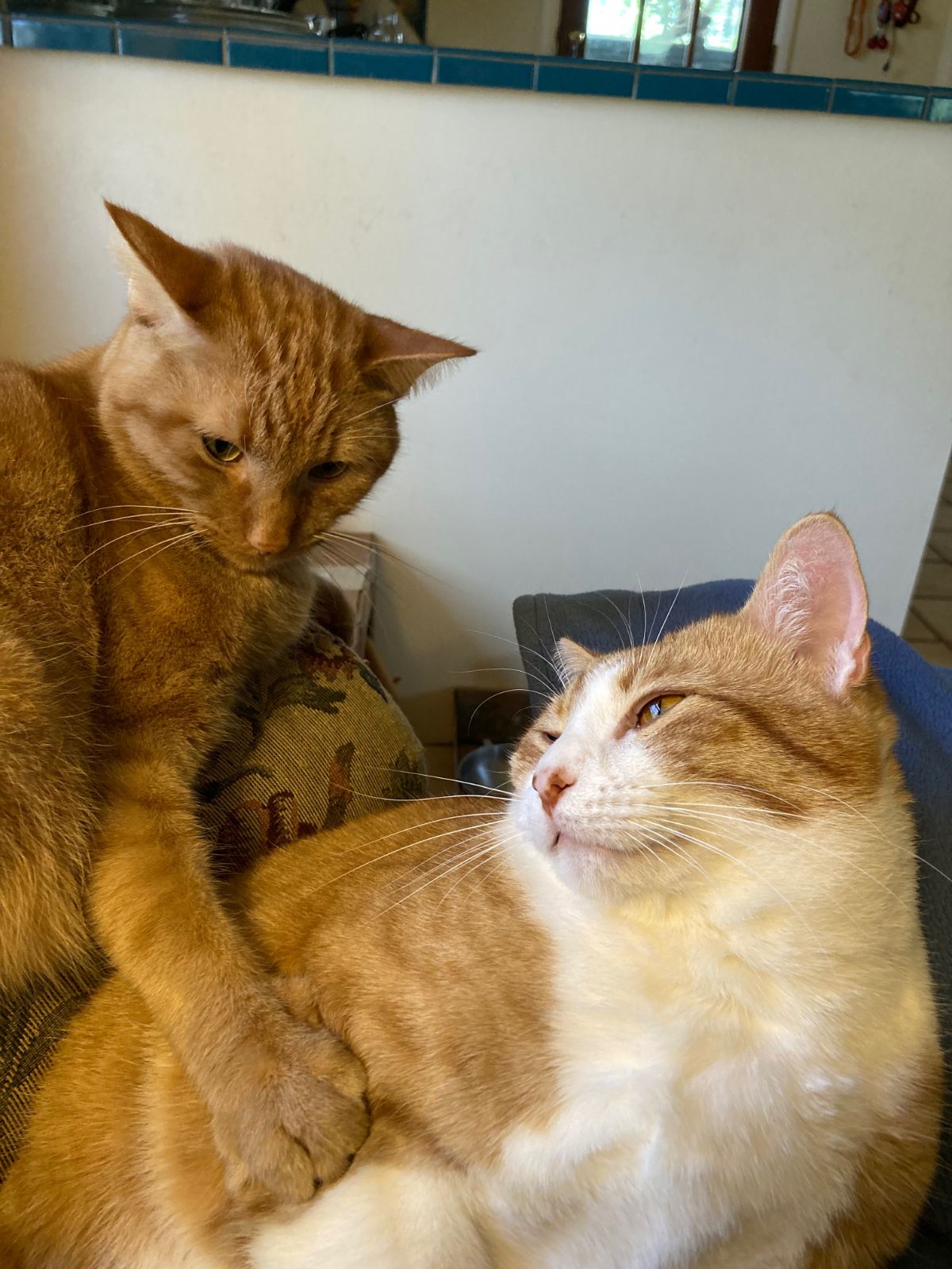 click for larger size