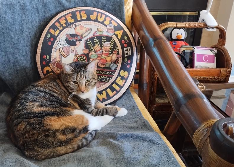 click for larger size