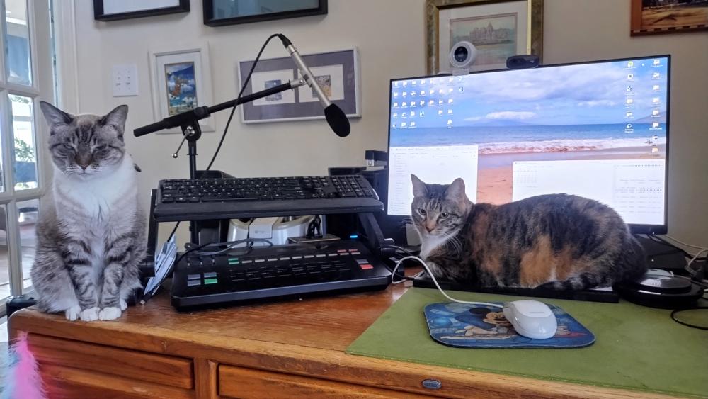 click for larger size