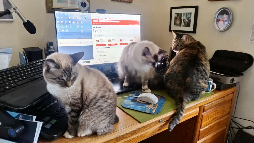 click for larger size