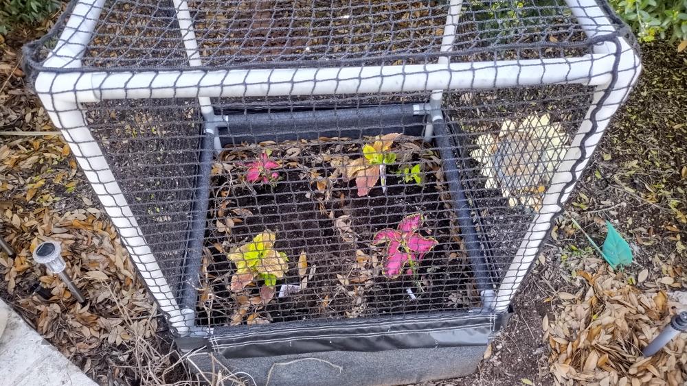 click for larger size