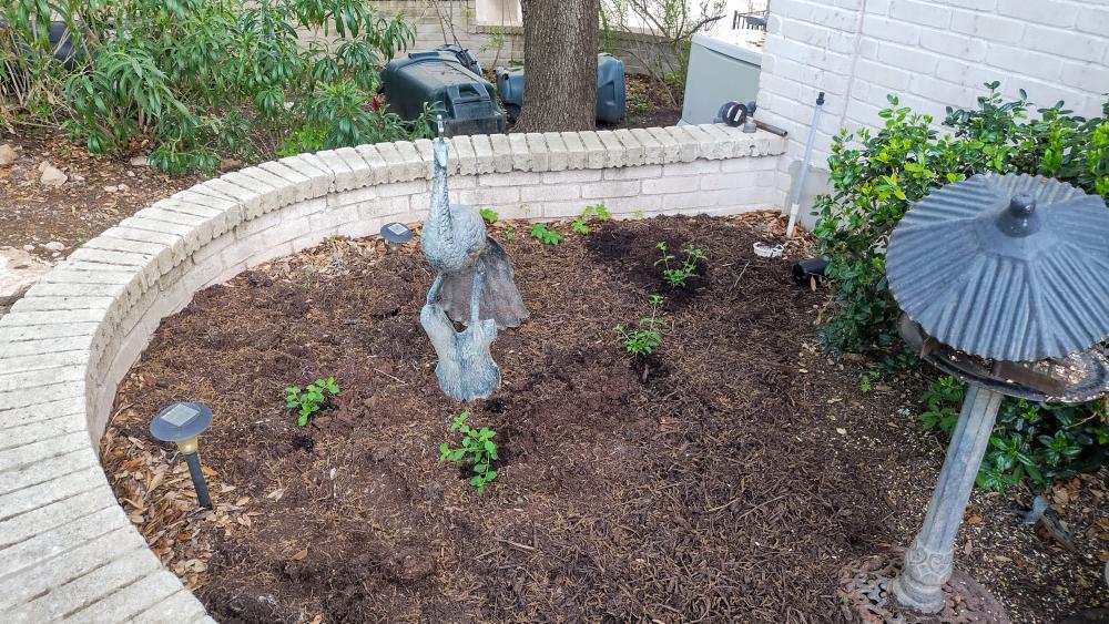 click for larger size