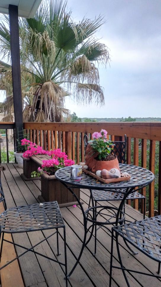 click for larger size