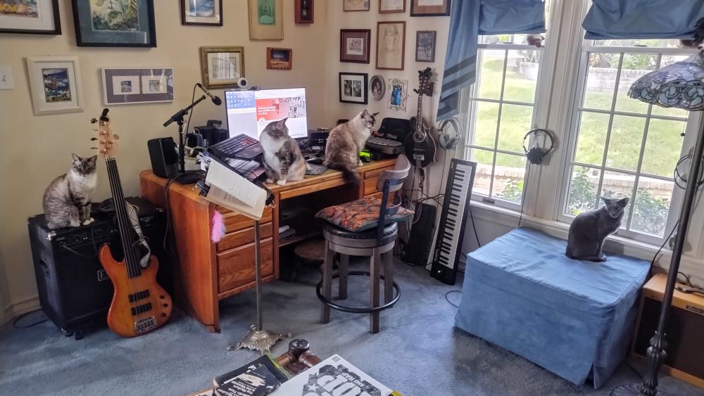 click for larger size