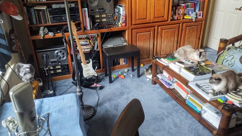 click for larger size