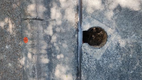 click for larger size