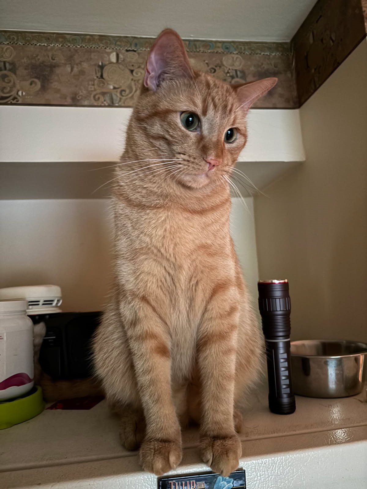 click for larger size