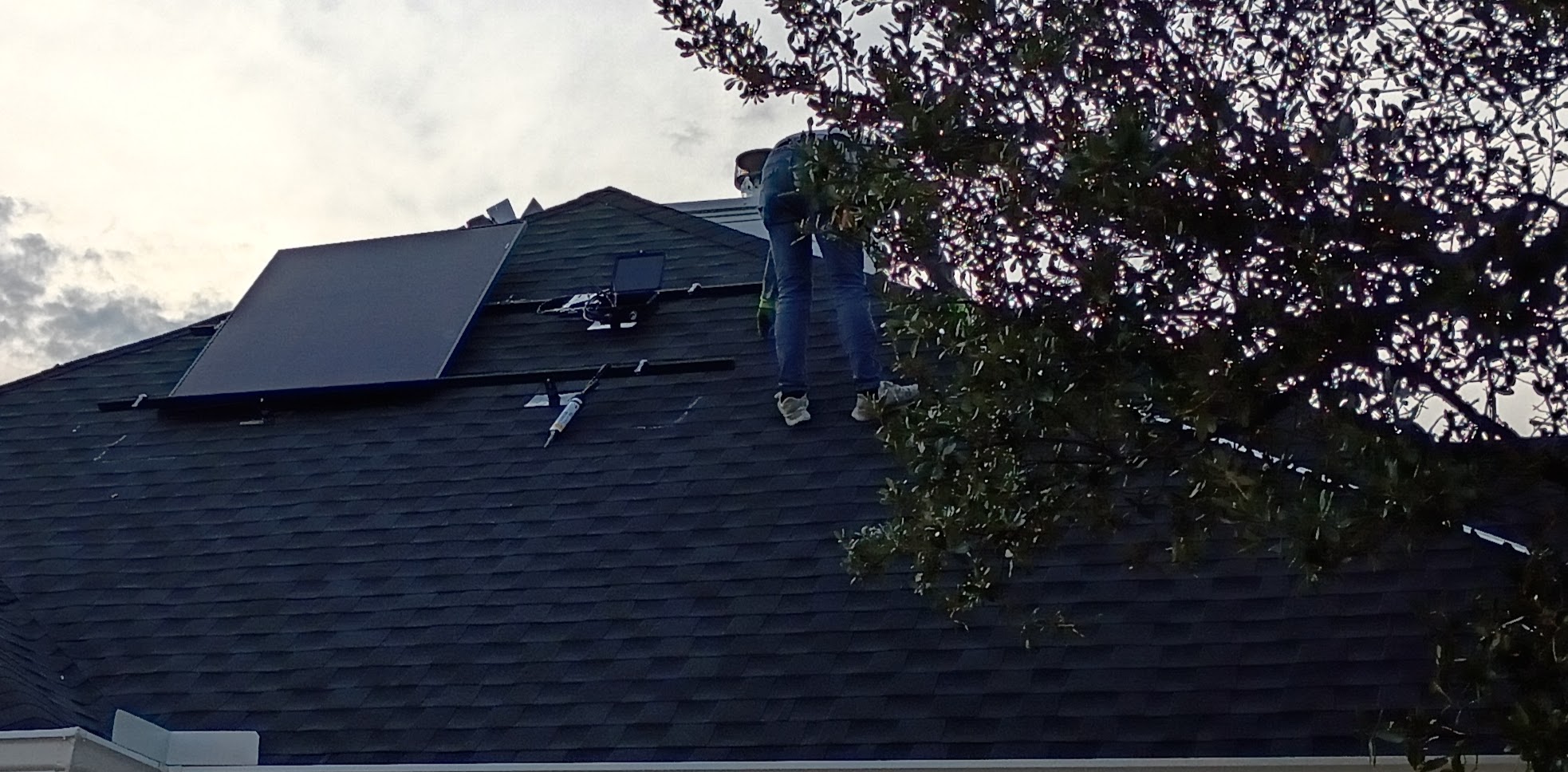 click for larger size