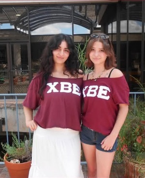 click for larger size