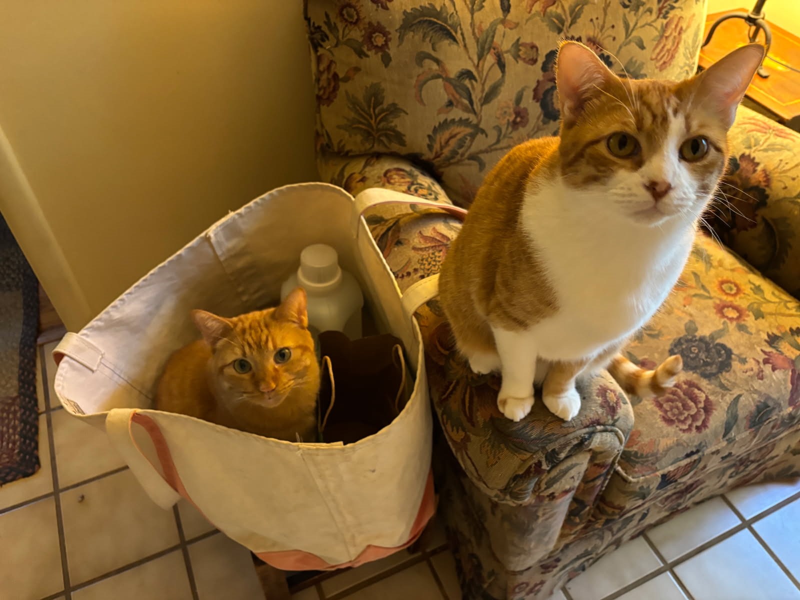 click for larger size