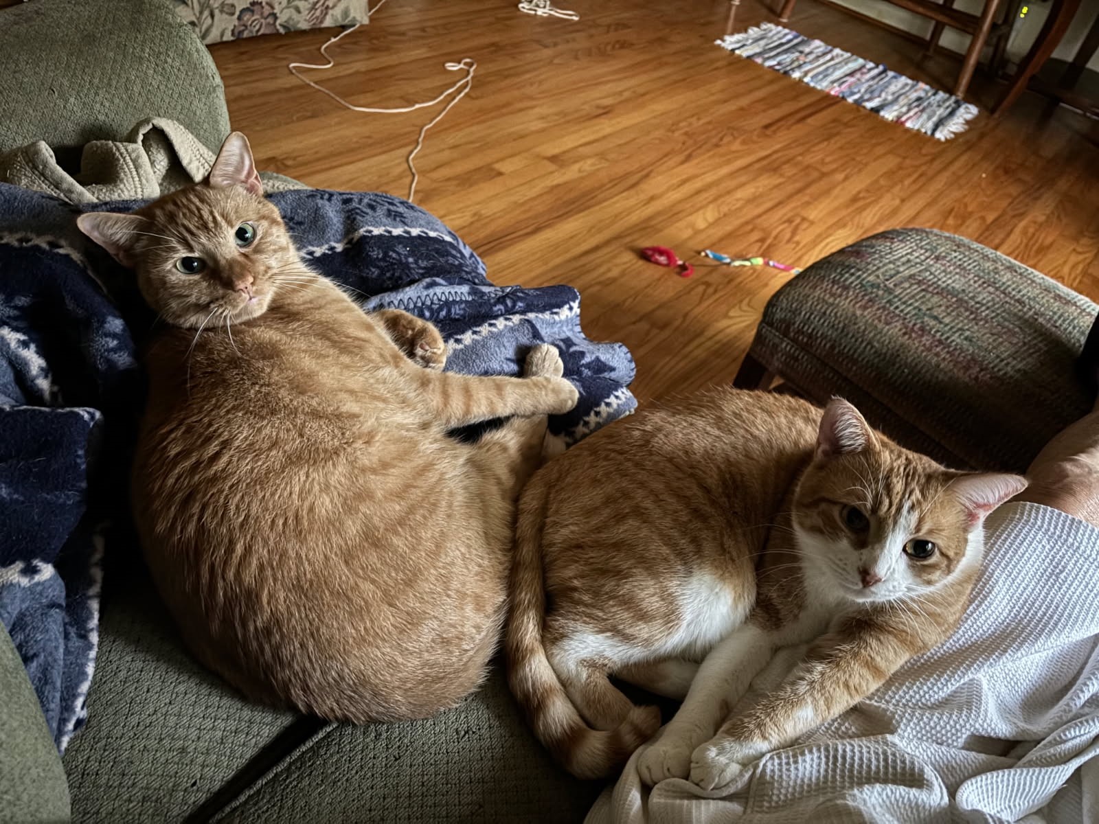 click for larger size