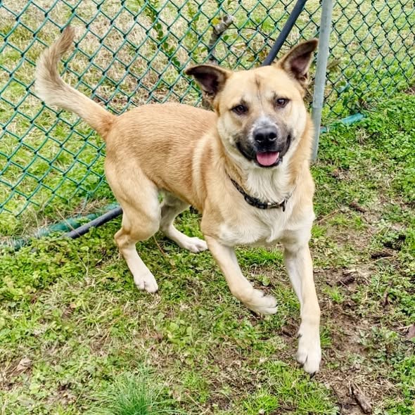 click for larger size