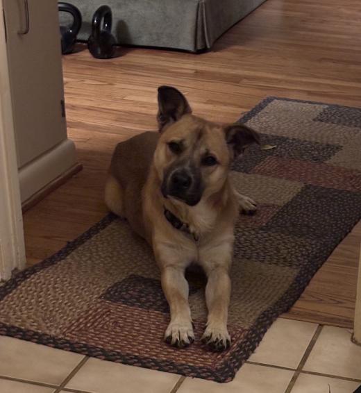 click for larger size