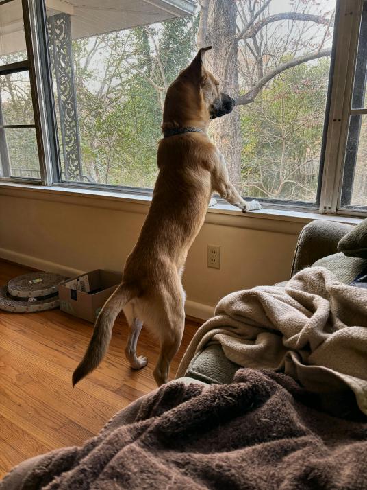 click for larger size