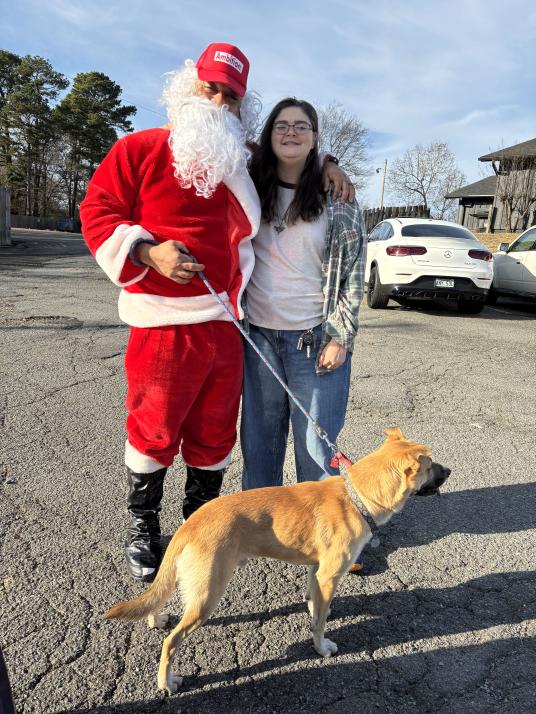 click for larger size