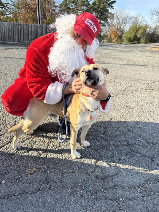 click for larger size