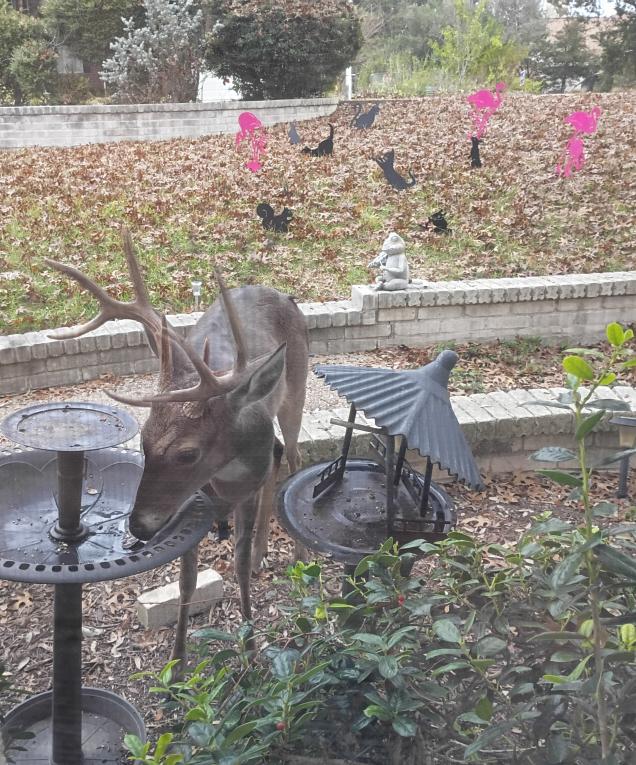 click for larger size