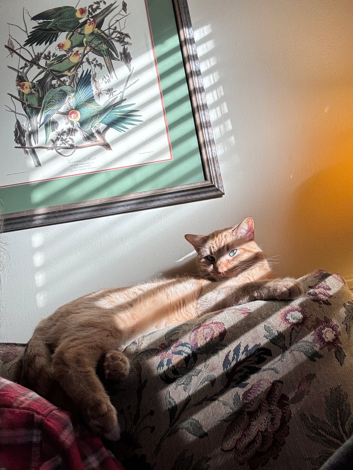 click for larger size