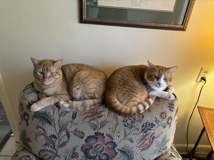 click for larger size