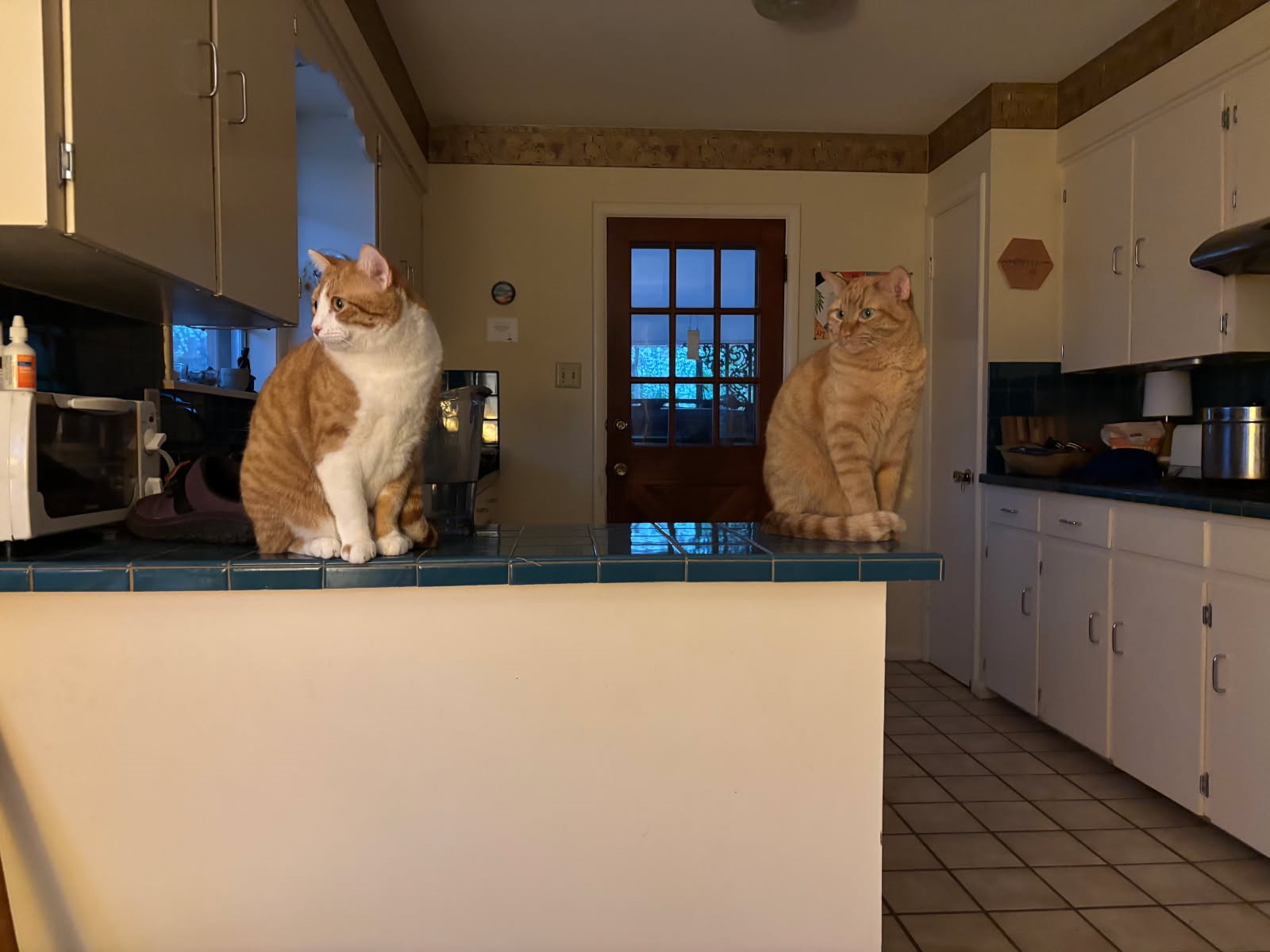 click for larger size