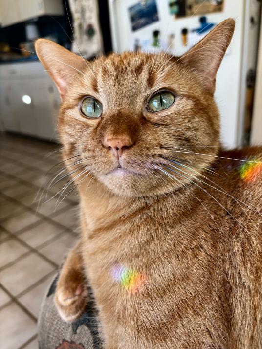 click for larger size