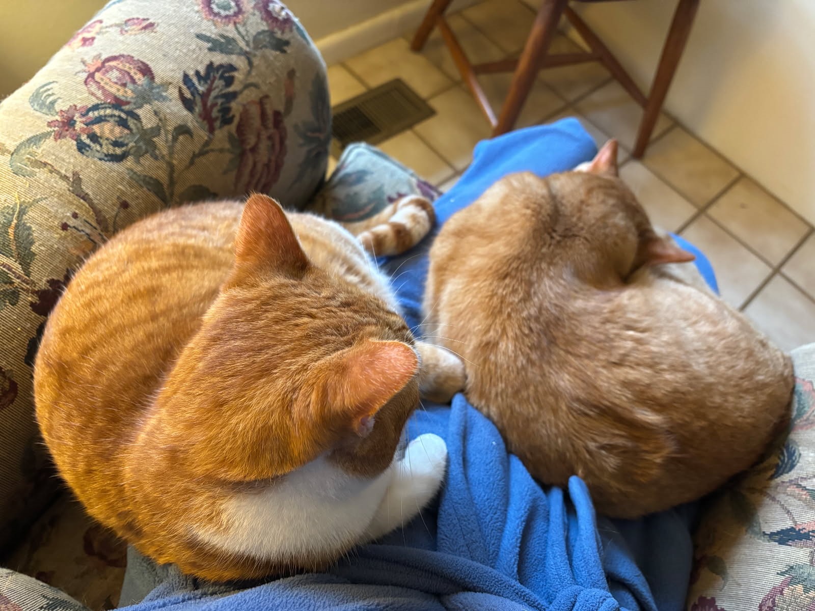 click for larger size