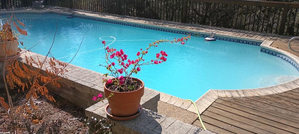 click for larger size