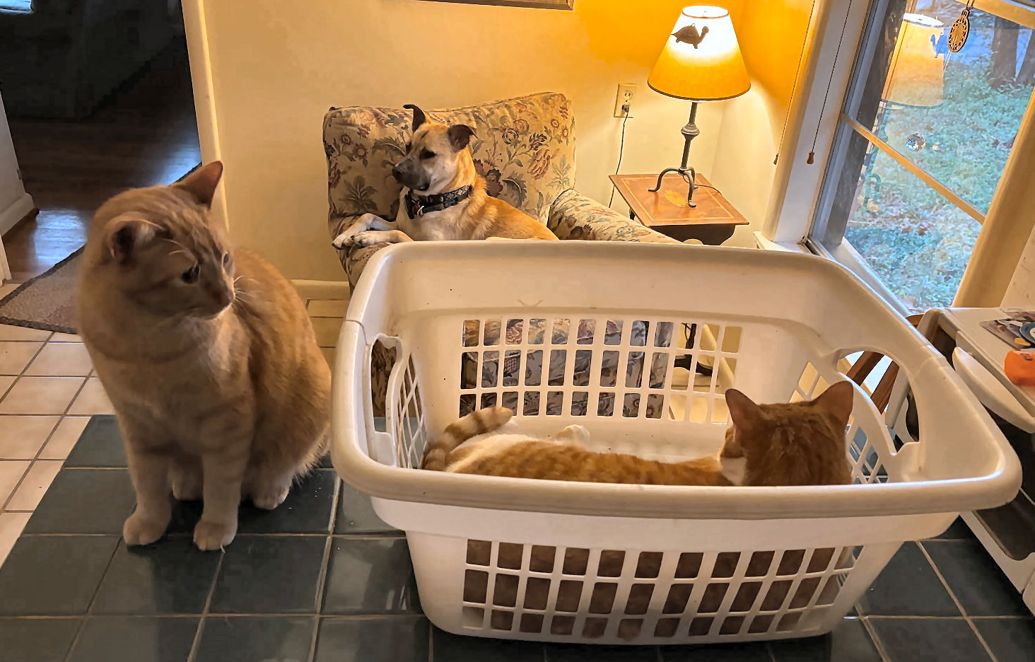 click for larger size