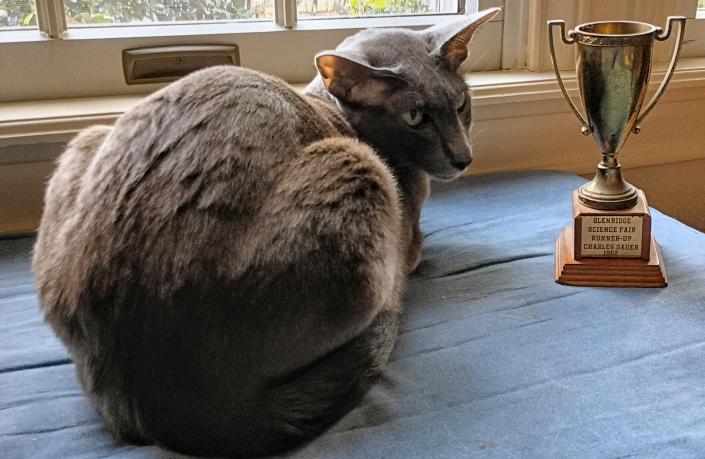 click for larger size