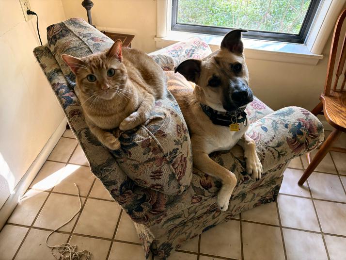 click for larger size