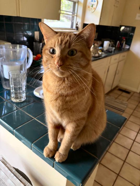 click for larger size