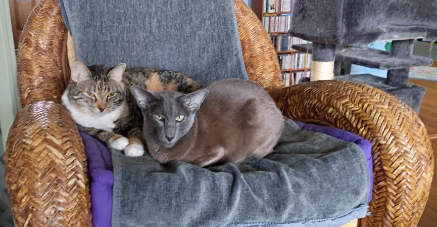 click for larger size